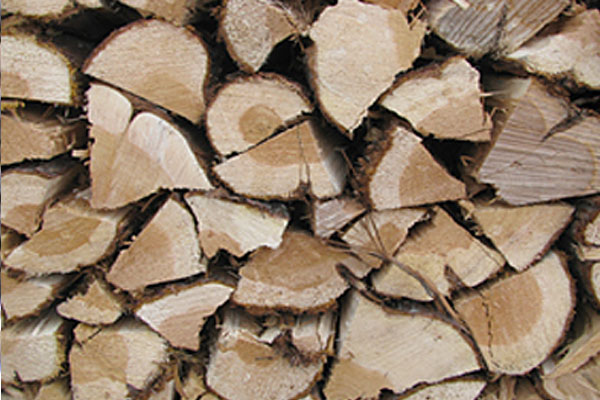 Firewood