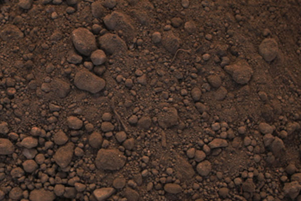 Top Soil