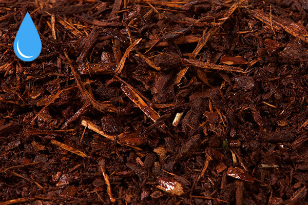 Bright Hemlock Bark Mulch — wet