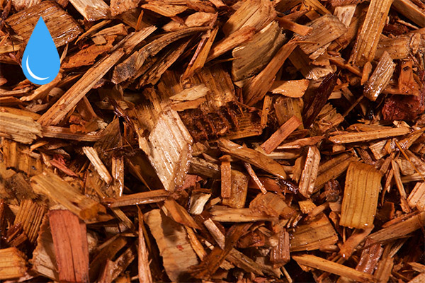 Cedar Playground Chips — wet