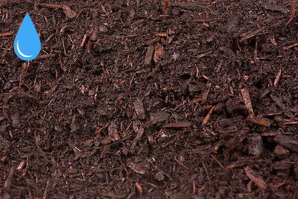Medium Dark Fir Bark Mulch — dry