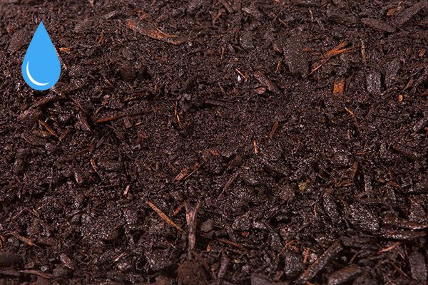 Dark Hemlock Bark Mulch — wet
