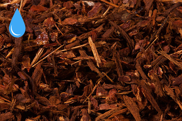 Oregon Woodland Bark Mulch — wet