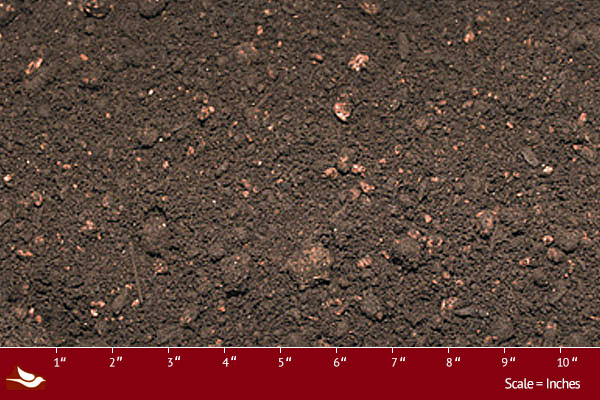Oregon's Own Topsoil — dry