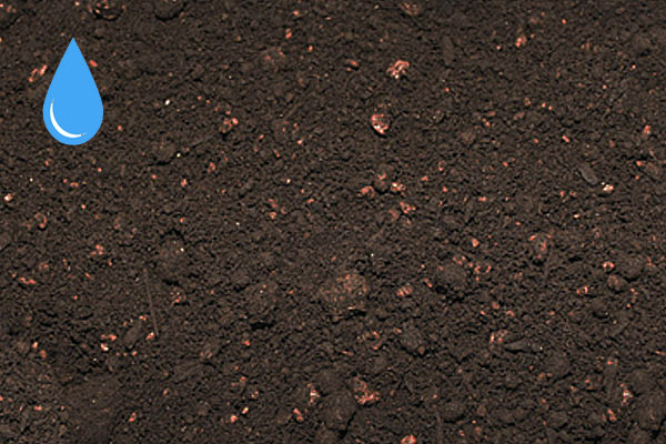Oregon's Own Topsoil — wet